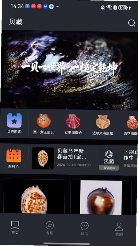 ����APPԤ��ͼ